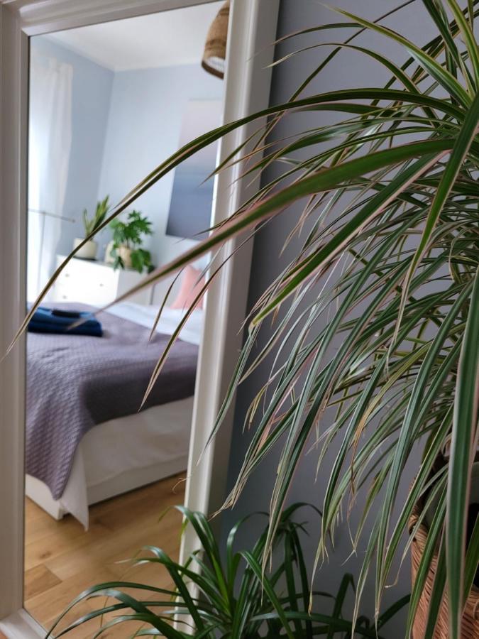 Maciejkowa Apartment Szczecin Luaran gambar