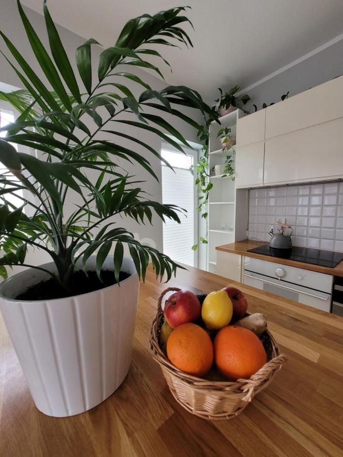 Maciejkowa Apartment Szczecin Luaran gambar